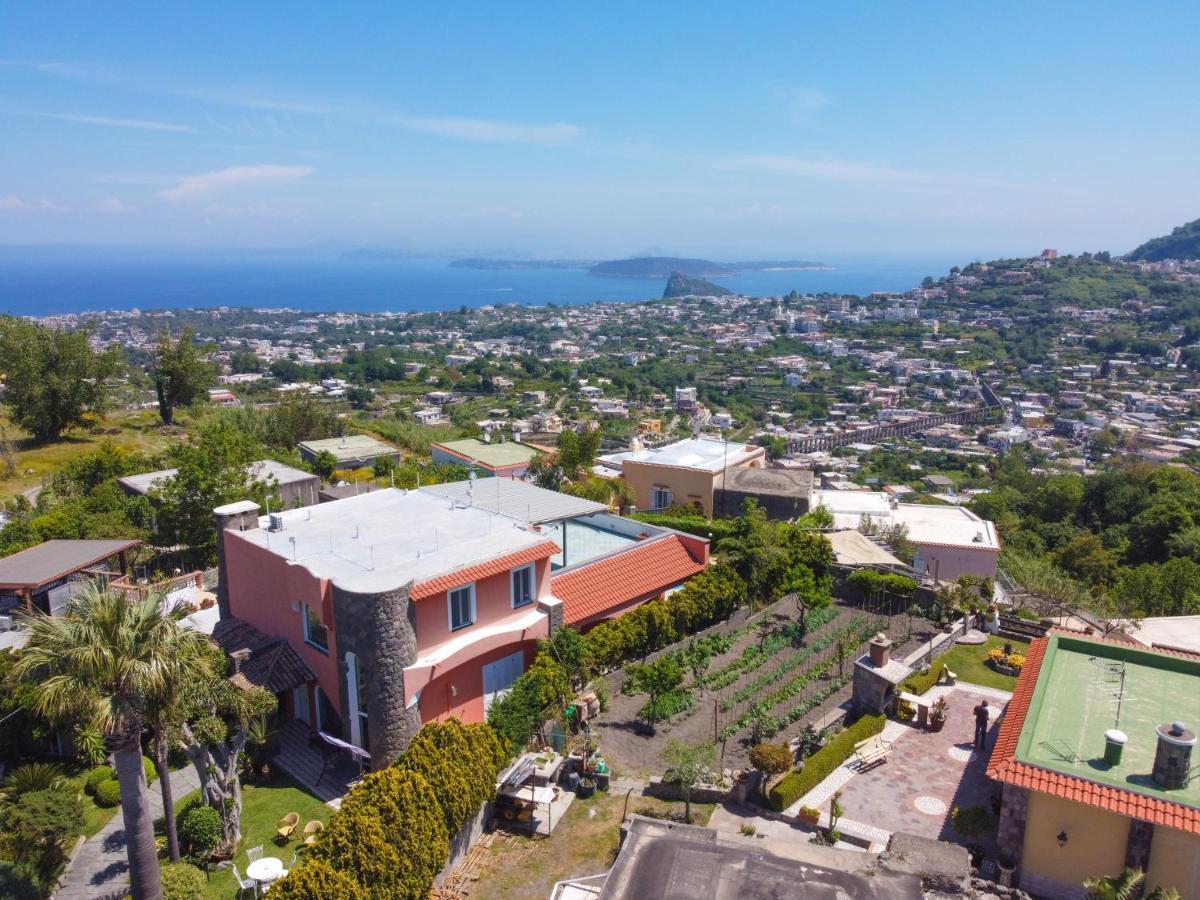 Villa Stefania 巴拉诺迪斯基亚 外观 照片